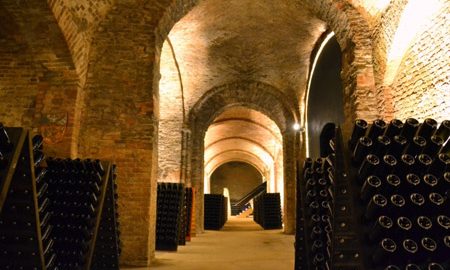 Bosca cellars