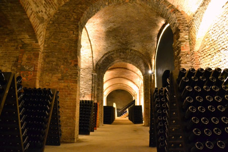 Bosca cellars