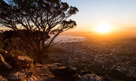 CThead-city-sunrise-view